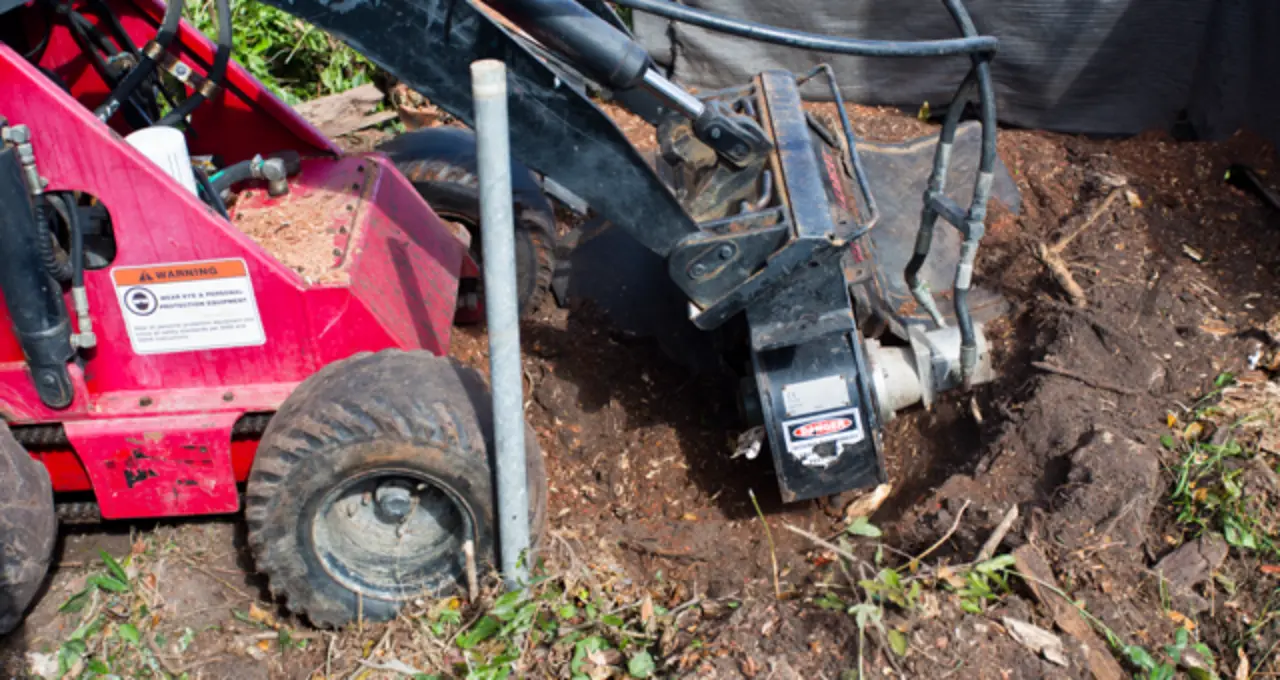 Stump Grinding