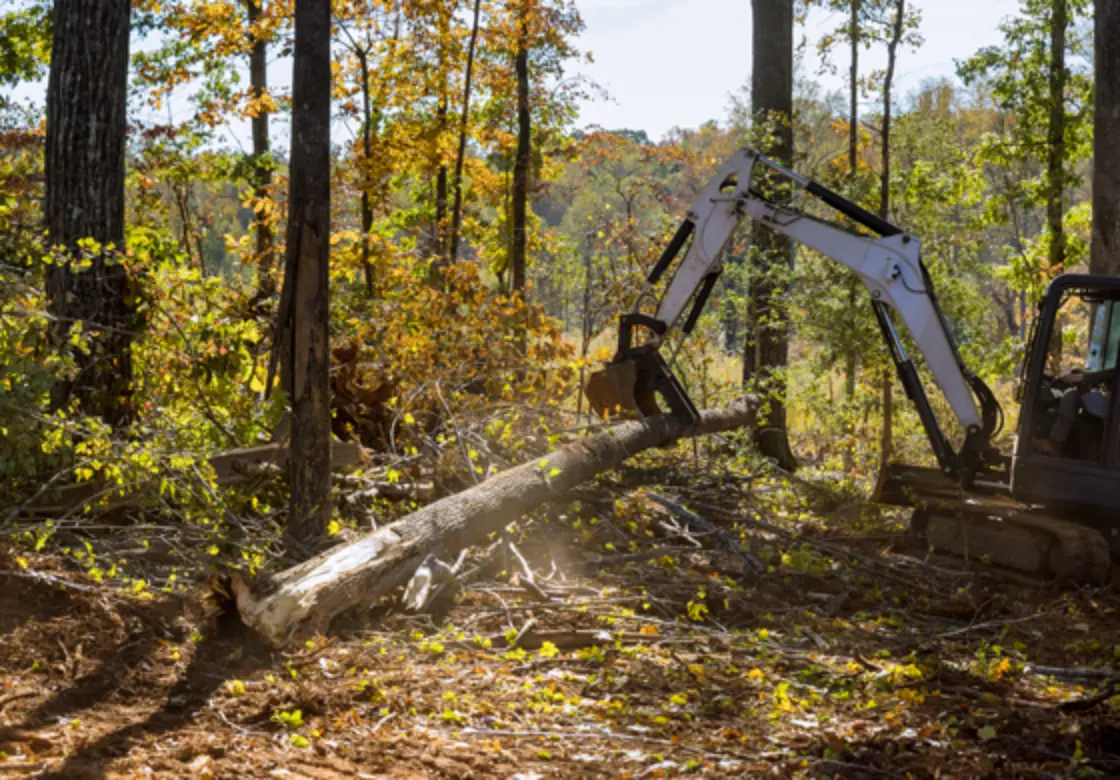 Lot Clearing