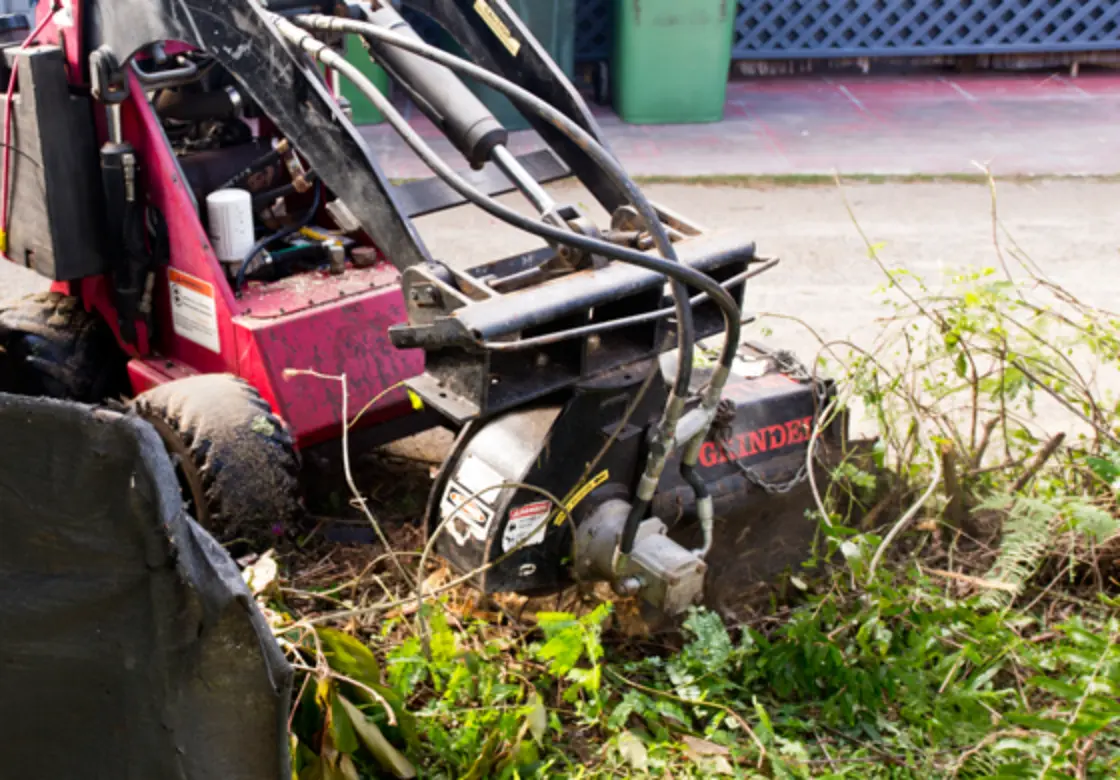 Stump Grinding