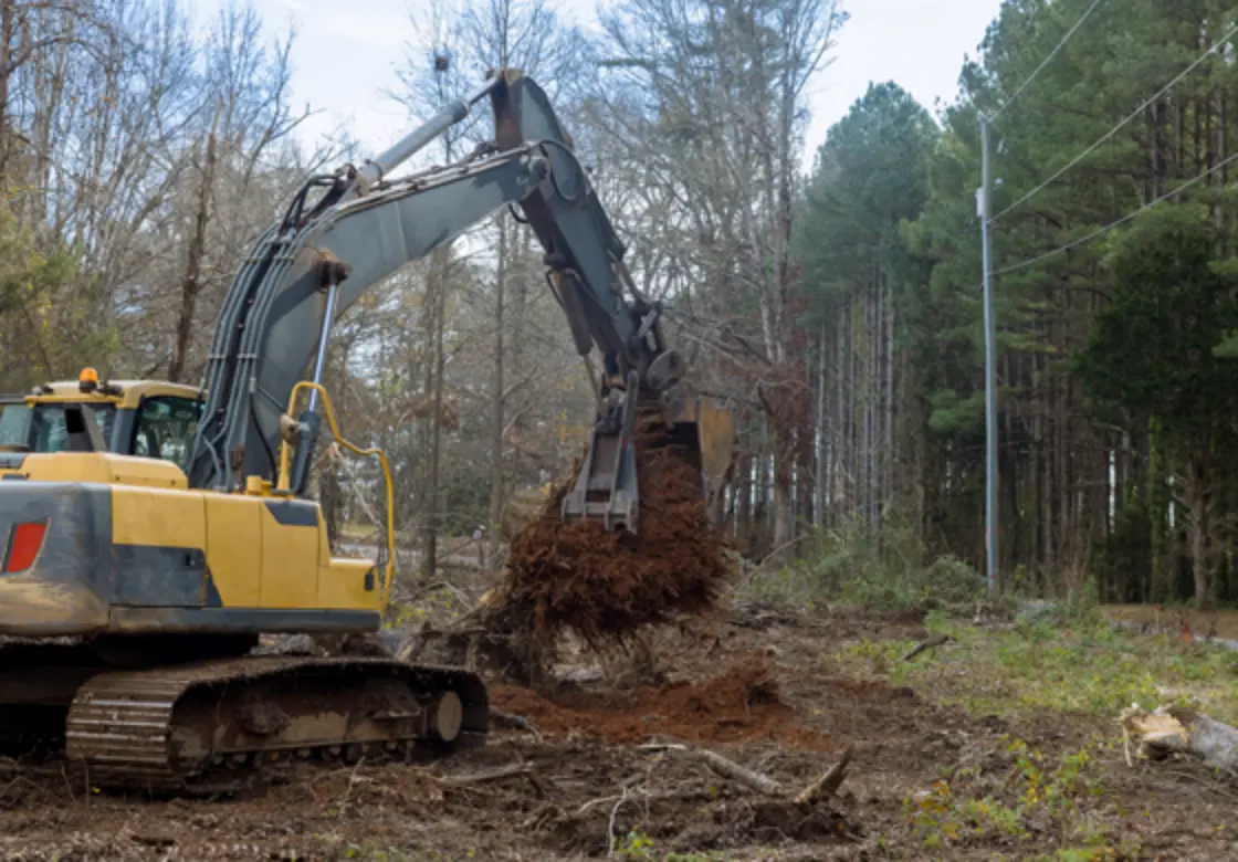 Lot Clearing
