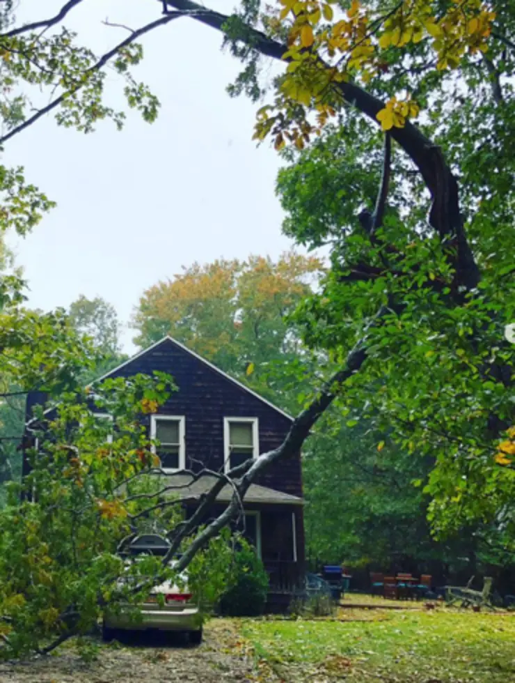 South Hampton, NY